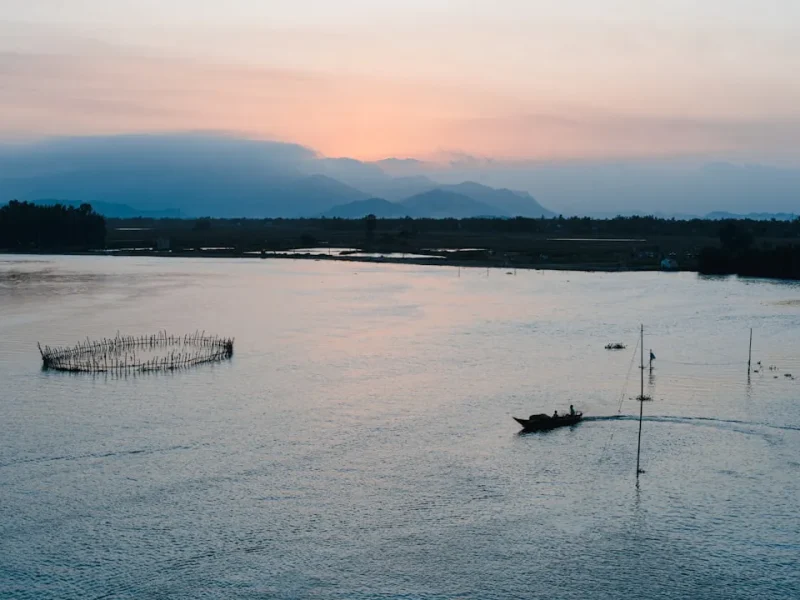 the ultimate guide to grouper fishing in vietnam tips best spots