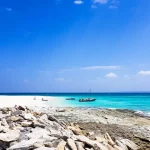 unearth the best tuna fishing spots in vietnam tips for anglers