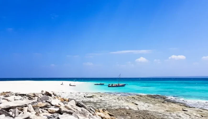 unearth the best tuna fishing spots in vietnam tips for anglers