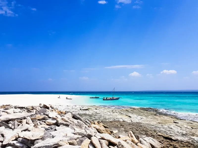 unearth the best tuna fishing spots in vietnam tips for anglers