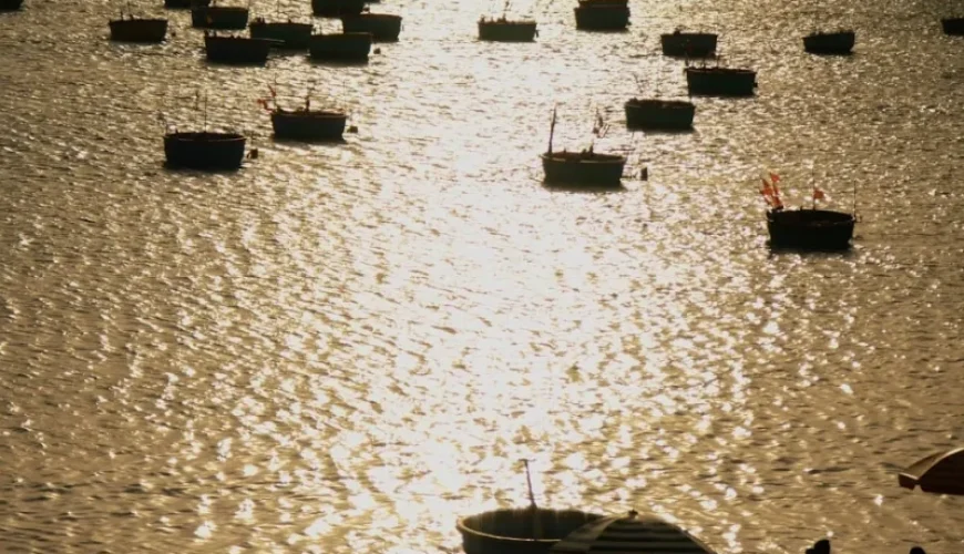 unique fishing adventures in vietnam a guide for enthusiasts