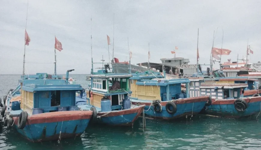 unveiling the best fishing charter services in vietnam expert reviews