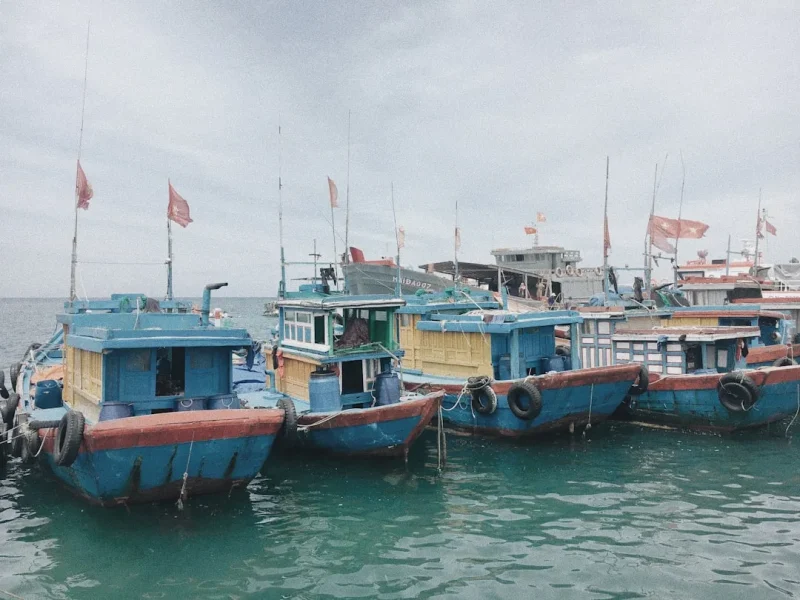 unveiling the best fishing charter services in vietnam expert reviews