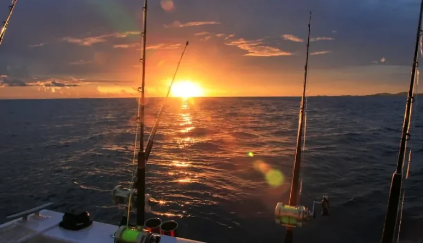 unveiling the best fishing tours in vietnam for solo travelers
