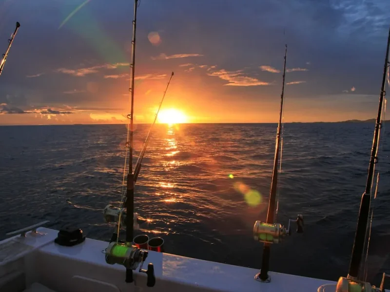 unveiling the best fishing tours in vietnam for solo travelers
