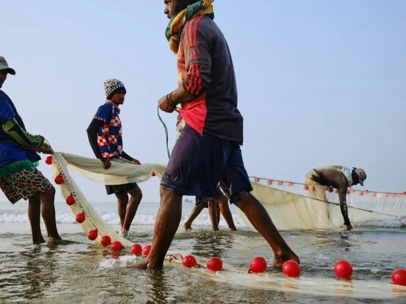 affordable fishing adventures in vietnam your guide to budget tours