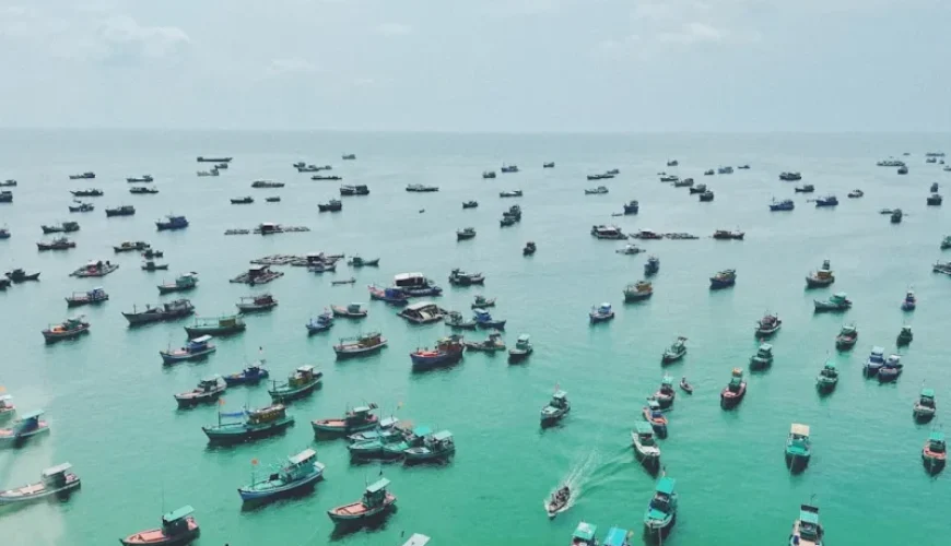 discover the most thrilling coastal fishing routes in vietnam