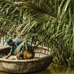 explore the bountiful waters top fish species of vietnam revealed