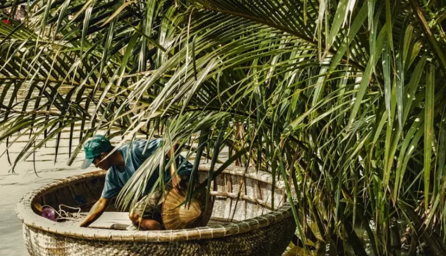 explore the bountiful waters top fish species of vietnam revealed