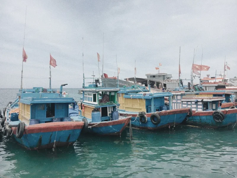 explore the untamed fishing paradise of con dao islands in vietnam