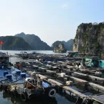 exploring fishing trip duration half day vs full day in vietnam