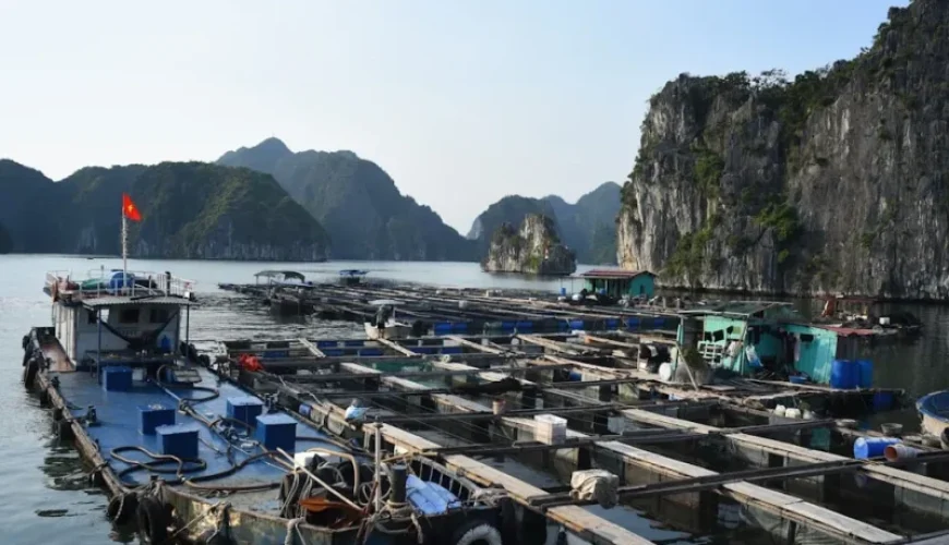 exploring fishing trip duration half day vs full day in vietnam