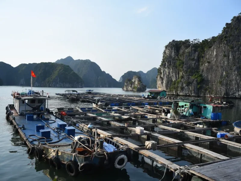 exploring fishing trip duration half day vs full day in vietnam