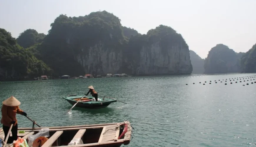 the ultimate fishing calendar best seasons for fishing in vietnam by region