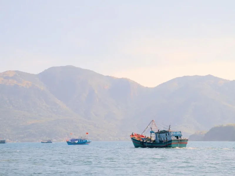 top fishing spots near ho chi minh city for enthusiastic anglers
