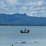 ultimate fishing tours in vietnam from novice to expert experiences