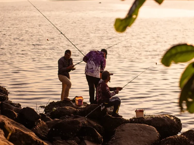 budgetfriendly fishing adventures save on tours in vietnam