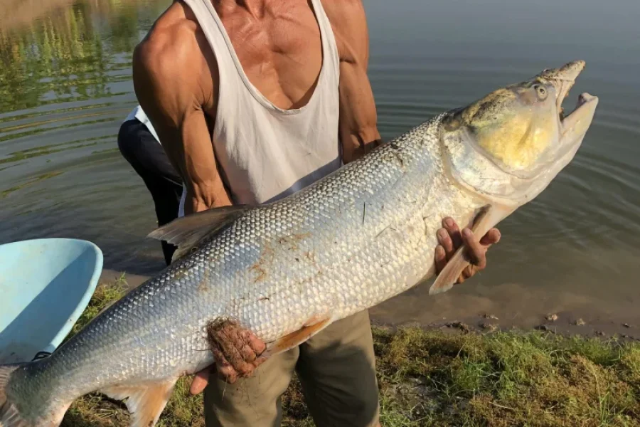 Fishing in Hanoi
