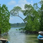 choosing the perfect fishing guide in vietnam your ultimate guide