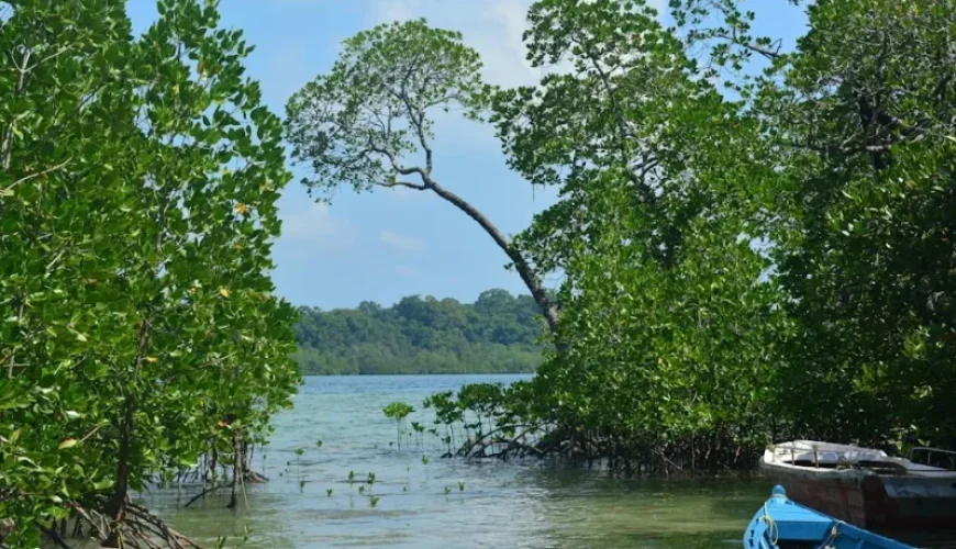 choosing the perfect fishing guide in vietnam your ultimate guide