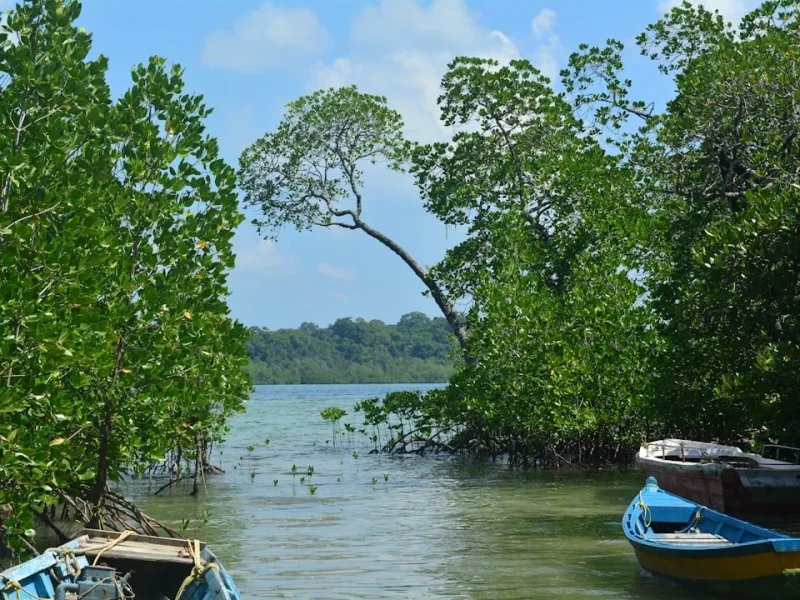 choosing the perfect fishing guide in vietnam your ultimate guide