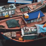 discover the secrets of grouper fishing in vietnam a complete guide