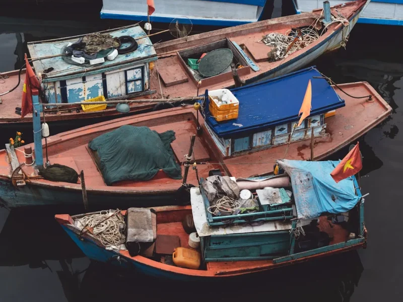 discover the secrets of grouper fishing in vietnam a complete guide