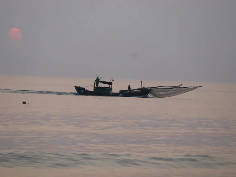 discover the top fishing tour booking platforms in vietnam for