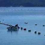discover vietnams diverse fish species from rivers to oceans