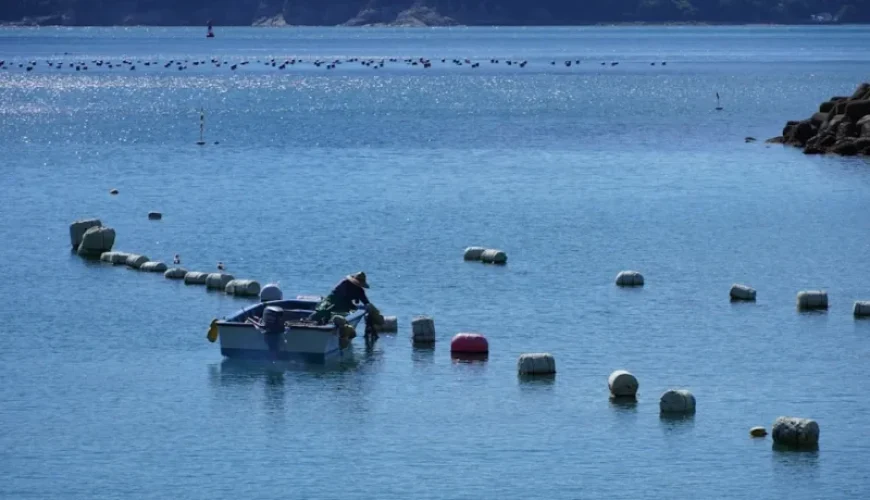 discover vietnams diverse fish species from rivers to oceans
