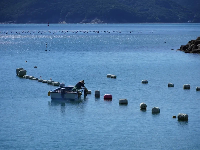 discover vietnams diverse fish species from rivers to oceans