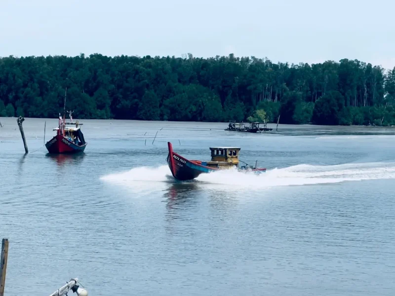 essential baits and lures for an unforgettable fishing experience in vietnam