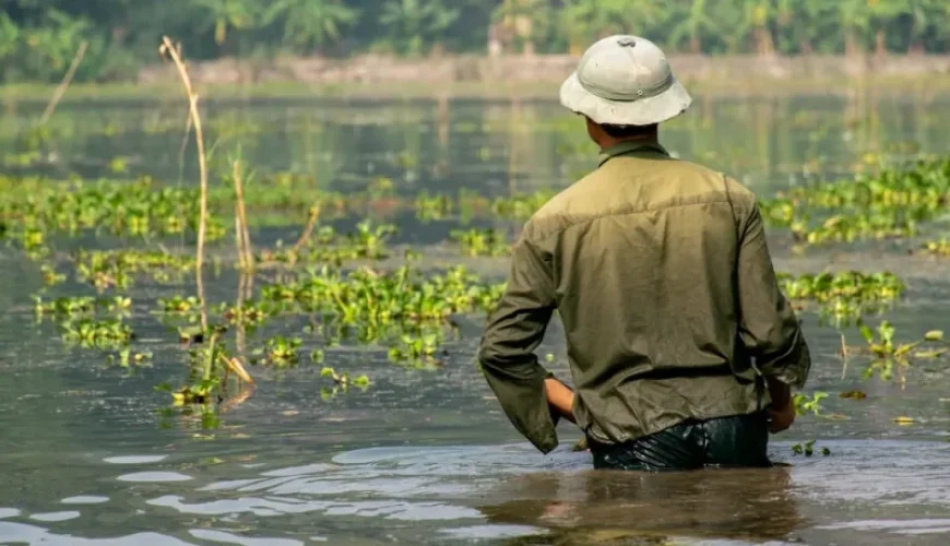 experience authentic fishing adventures with local fishermen in vietnam
