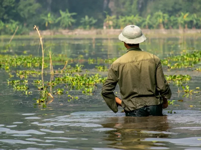 experience authentic fishing adventures with local fishermen in vietnam