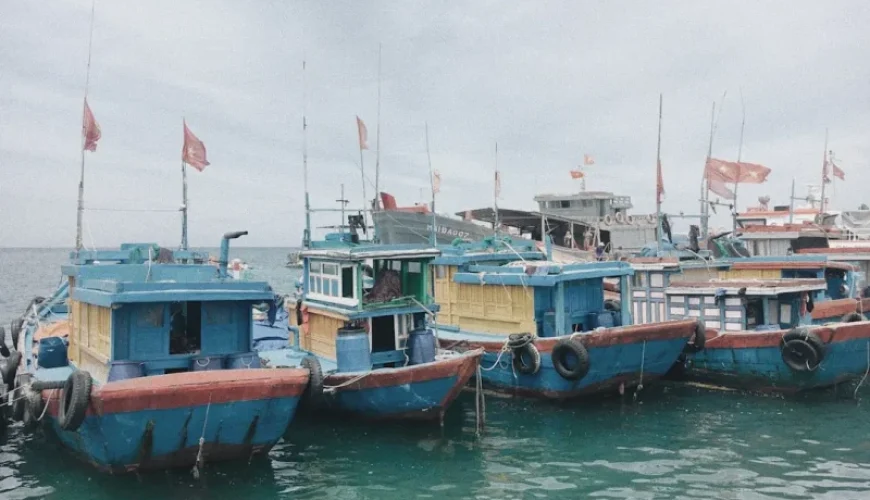 explore captivating fishing tours in vietnam a solo travelers guide