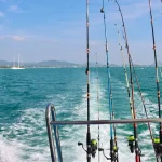guarding your wallet avoiding fishing tour scams in vietnam