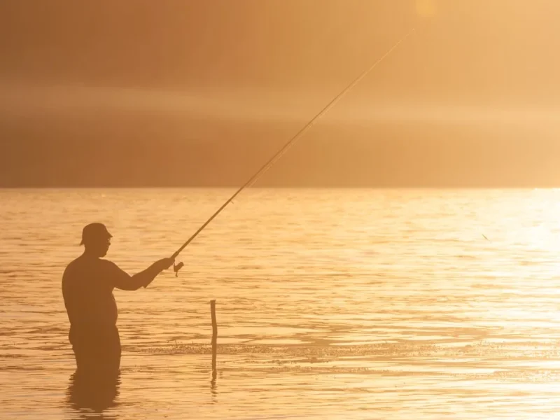 the ultimate comparison of fishing adventures beginners vs experts in vietnam