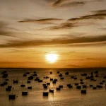 the ultimate guide for expats fishing in vietnam explore experience enjoy