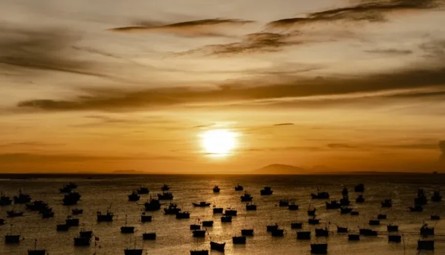 the ultimate guide for expats fishing in vietnam explore experience enjoy