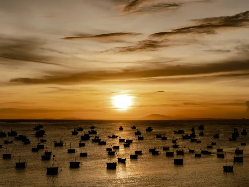 the ultimate guide for expats fishing in vietnam explore experience enjoy