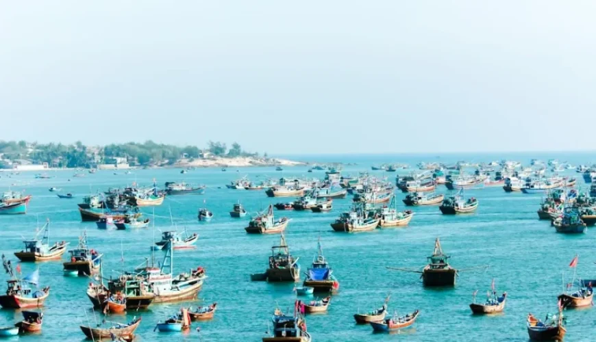 unforgettable familyfriendly fishing tours in vietnam explore safely and joyfully