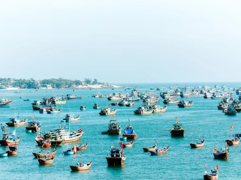 unforgettable familyfriendly fishing tours in vietnam explore safely and joyfully