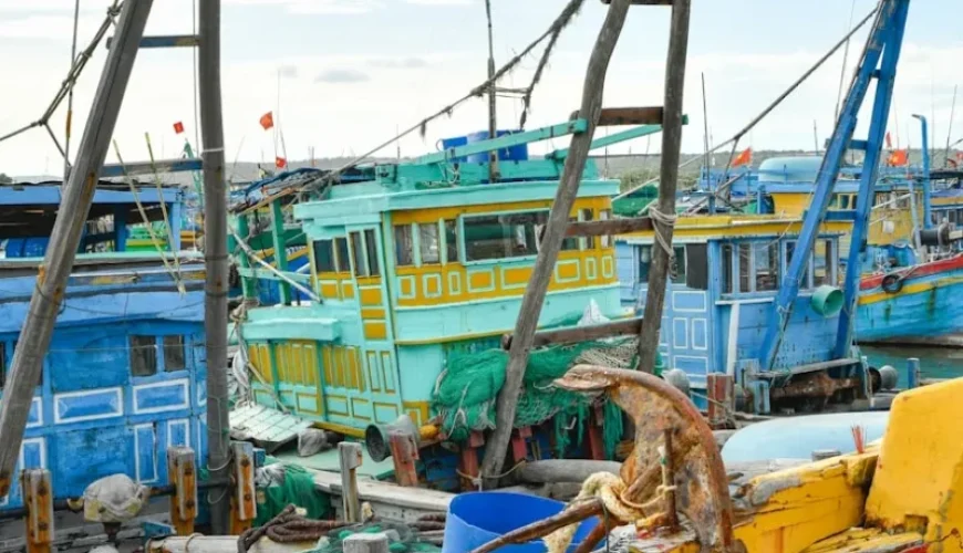weather patterns and their impact on fishing success in vietnam