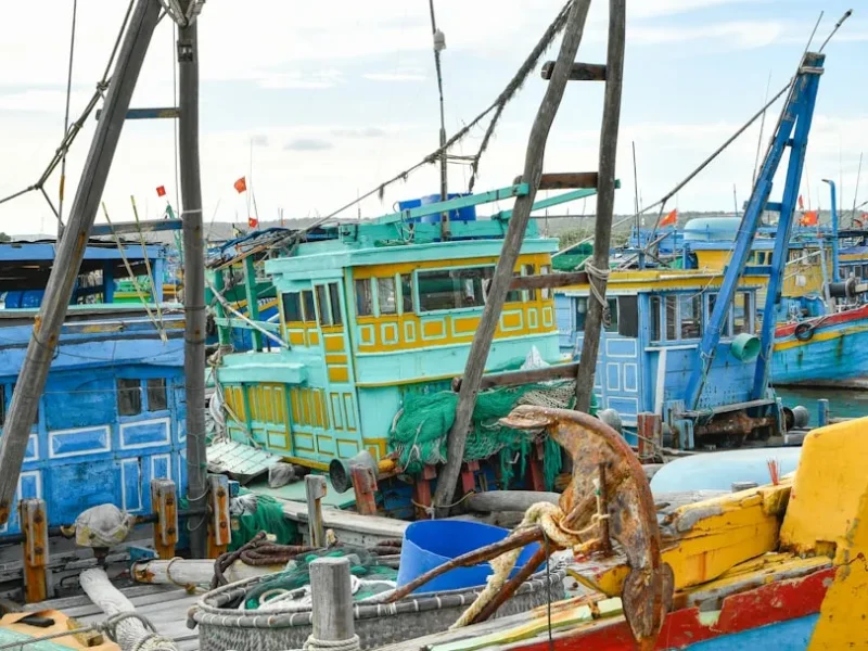 weather patterns and their impact on fishing success in vietnam