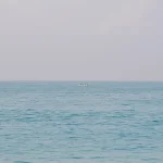 what to know about group fishing adventures in vietnam a complete guide