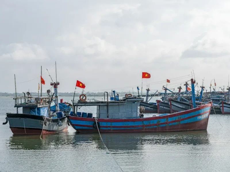 discover vietnams top coastal fishing routes for unforgettable adventures