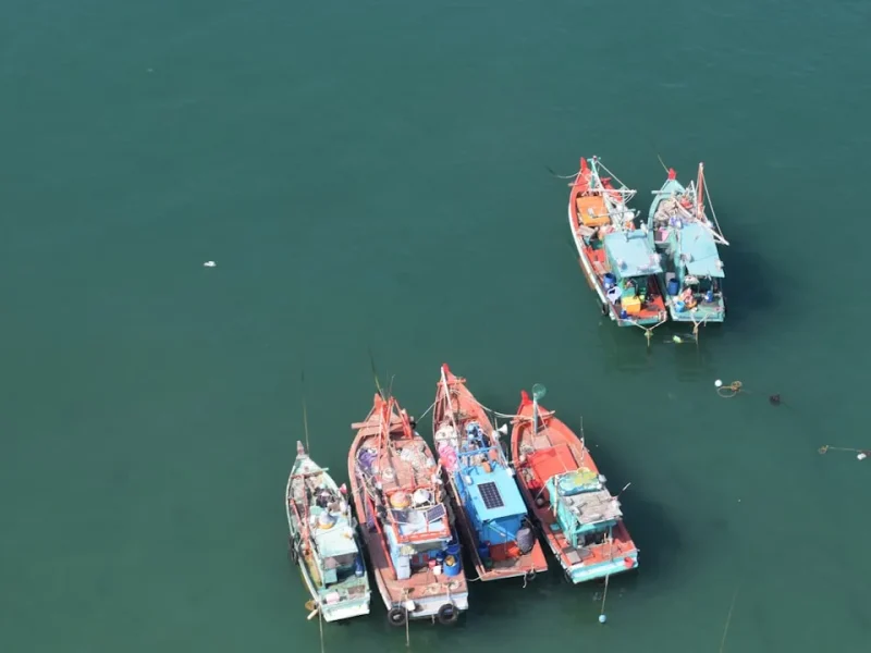 enchanting fishing tours in vietnam a romantic adventure for couples