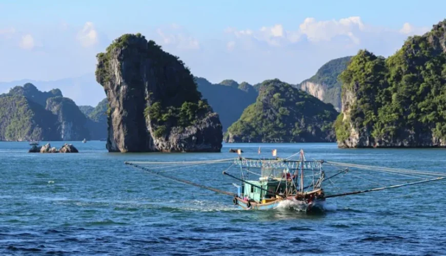 essential fishing travel tips for new visitors to vietnams waters