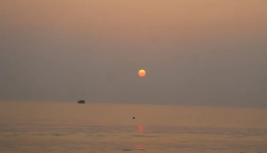 explore unique freshwater fishing adventures in vietnams mekong delta
