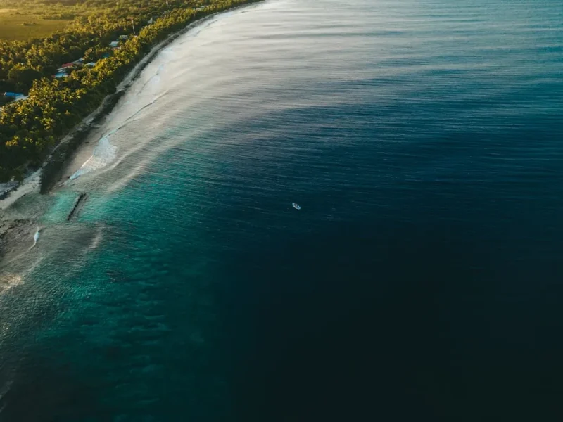 hooks lines and snapper navigating vietnams best fishing adventures